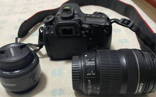 佳能80D（深入了解佳能80D的功能与特点）