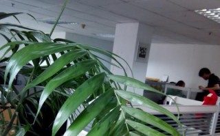 酷派8750拍照实力解析（揭秘酷派8750拍照的强大功能与出众成绩）