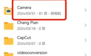 利用U盘重装手机系统的步骤及注意事项（轻松解决手机系统问题，U盘助你一键重装）