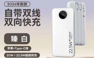 以魅族小米移动电源如何选择？（探索这两款移动电源的性能与价格）