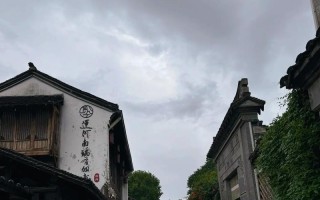 以镜头淋雨的美丽瞬间（舞动雨滴，绽放光华——摄影艺术与雨水的完美结合）
