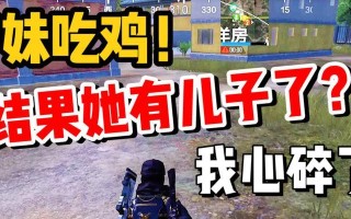 电脑吃鸡1450错误解决方案（解决电脑吃鸡1450错误的关键步骤与技巧）