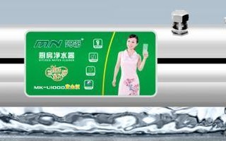 以大米牌净水器的性能及优势为主题的文章（打造健康生活的首选，大米牌净水器的可靠之选）