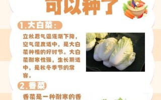 以大白菜制作ISO教程（如何利用大白菜制作自己的ISO文件）