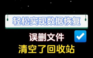 电脑显示错误恢复的方法与技巧（解决电脑显示错误的有效步骤和注意事项）
