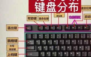免费自学电脑基础教程，打开数字世界的大门（简明易懂，从零基础开始，轻松掌握电脑基础知识）
