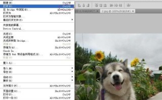 免费的PS初学者基础教程（解析Photoshop的基本工具和操作步骤，让你快速入门）