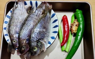 红辣椒金典496——燃烧味蕾的绝佳选择（以红辣椒金典496为主角，探索独特风味的美食之旅）