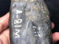 21克电信版手机的优缺点及使用体验（打造轻薄机身，享受高速通信）