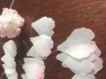 用电脑制作樱花学校的教程（轻松学会用电脑制作樱花学校的教程）