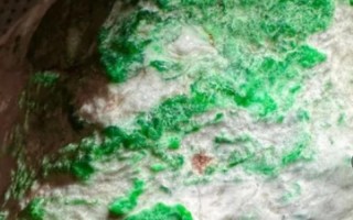 21克电信版手机的使用体验及优势（探索21克电信版手机的卓越性能与创新特点）