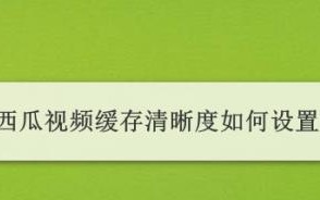 手机缓存视频提取方法大全（了解如何提取手机中的缓存视频，快速找回丢失的珍贵视频文件）