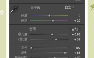 用电脑LR调色技巧提升人像写真的表现力（利用数字后期处理增强照片的色彩和质感，让人像更加生动鲜活）