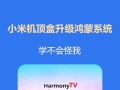小米手机刷机电脑教程（简单易懂的小米手机刷机教程分享，带你玩转定制系统）