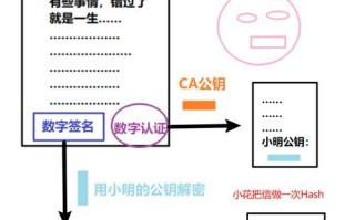 保护数据安全的7个加密优盘解密技巧（保护个人隐私，加密优盘助力信息安全）