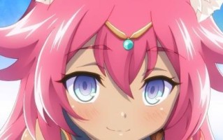Wosign（Wosign数字证书机构的历史、技术和信誉背景调查）