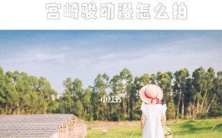 用LR调色打造宫崎骏般的电脑壁纸（学习如何使用LR软件制作唯美梦幻的宫崎骏风格壁纸）
