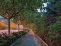 小米5X夜景拍摄的出色表现（以小米5X为例，探究其夜景拍摄的优势与技巧）