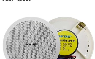先科低音炮的卓越表现（低音震撼、音质出众，先科低音炮的关键特点）