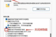 解决电脑扩展名错误的方法（如何正确处理电脑提示的扩展名错误问题）