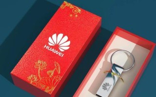 揭秘台电U盘的卓越性能（一探究竟，高速传输与耐用性为何让台电U盘脱颖而出）