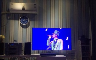 探索LG55EG9100电视的优点与缺点（LG55EG9100电视的影像表现和用户体验如何？）
