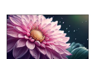 国内飞利浦电视的优劣势分析（探究国内市场对飞利浦电视的评价和需求）