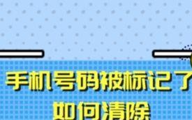 电脑标注错误数字的应用与挑战（数字识别技术在错误数字标注中的前景与难题）