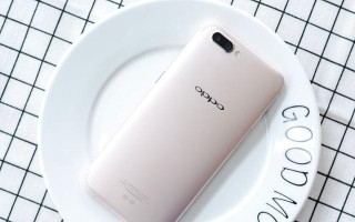 OPPOR11防水效果全面评测（全新OPPOR11，IP68级别防水，让你无惧水中挑战）