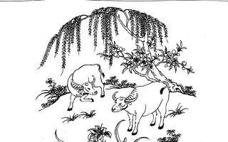 电脑制作白描稿子教程（用电脑轻松制作高质量白描稿子，轻松实现你的创意）