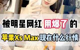 苹果XSMax应用安装教程（轻松掌握XSMax应用安装的方法）