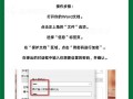 电脑配置网站详细教程（一站式指南，助你轻松完成电脑配置）