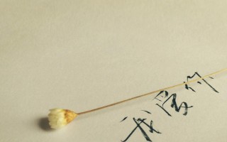 解析电脑桌面文字方向错误的原因及解决方法（探索电脑桌面文字颠倒、倾斜等问题的根源及解决方案）