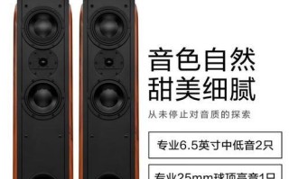 天龙喇叭是如何提升音质的？（了解天龙喇叭的关键特性与优势）