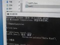 电脑输入cmd时错误提示的解决方法（探索常见错误提示及应对策略）