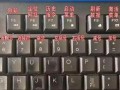 电脑小白的打字技巧教程（从零基础到熟练掌握，轻松提升打字速度）