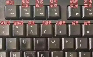 电脑小白的打字技巧教程（从零基础到熟练掌握，轻松提升打字速度）
