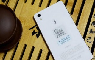 小辣椒3s手机质量如何？（全面评估小辣椒3s的性能、耐用性和用户体验）