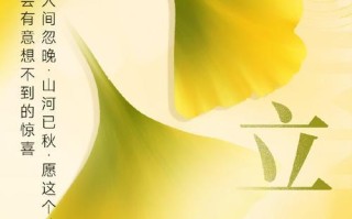 盛夏内存卡（快速、稳定、高容量，让你的夏日留住美好瞬间）