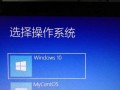通过大白菜U盘启动更换系统（详细教程与关键步骤）