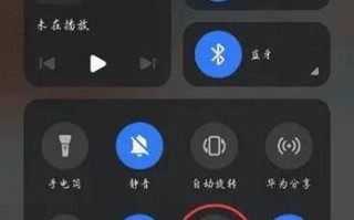 手机截屏技巧大全（掌握这些技巧，手机截屏更高效）