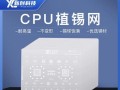 性能卓越