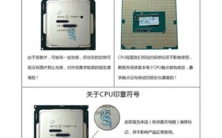 英特尔535固态硬盘（深度解析英特尔535固态硬盘的关键特性和性能表现）