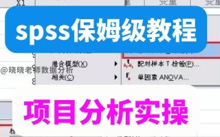 如何通过快速筛选内容提高效率（高效工作的关键）