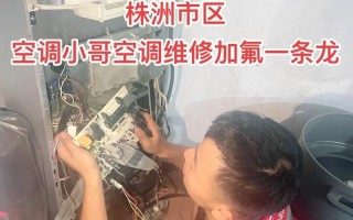 空调销售现状及市场前景分析（探索卖空调的商机，抓住行业发展趋势）