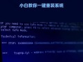 电脑系统错误（探索电脑系统错误的祸害与解决方法）