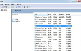 苹果电脑SVN使用教程（详解苹果电脑上SVN版本控制工具的使用方法）