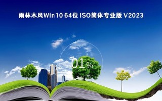 Win10版本选择指南（探寻Win10中稳定流畅的秘密，帮助您作出明智的版本选择）