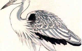 双板UP43AXV2统教程（通过UP43AXV2主板学习如何搭建高效能计算机）