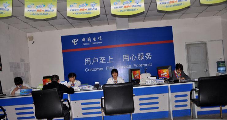 电信划小承包制的实施效果与问题（探究电信划小承包制的运行机制及影响因素）-第1张图片-数码深度